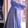 Carolina trendy sleeves maxi