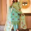 aanavi organza suit set