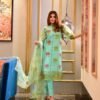 aanavi organza suit set