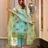 aanavi organza suit set