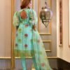 aanavi organza suit set