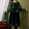 Mehendi Ready Gottawork SALWAR SUIT