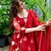 haafiza maroon organza suit set